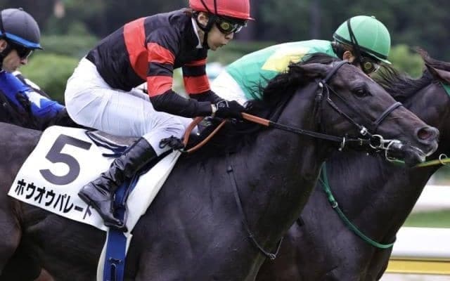 初の右回りで一変期待 日曜中山8Rは両親ともにGI勝ちの良血馬を狙う