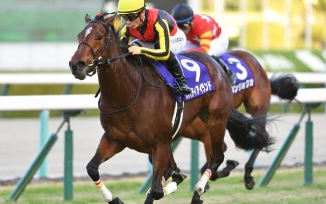 【今日の注目ポイント】牝馬クラシック第一弾・桜花賞