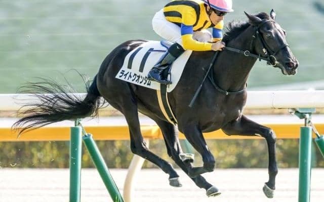 【桜花賞予想】圧倒的に強いのは2番人気？ 前走チューリップ賞組優勢は過去のものに？