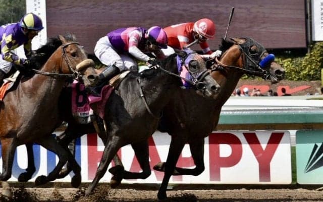 【サンタアニタダービー】木村和「勝ったのかなと思いましたが…」地方から初参戦のマンダリンヒーローは僅差の2着