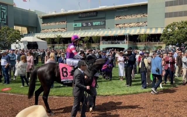 【サンタアニタダービー】藤田師「ケンタッキーダービーに向かいたい」地方から初参戦のマンダリンヒーローは僅差の2着