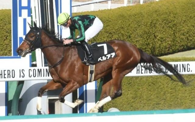 【船橋・マリーンC枠順確定】ペルアアは8枠11番、チェイスザドリームは6枠8番