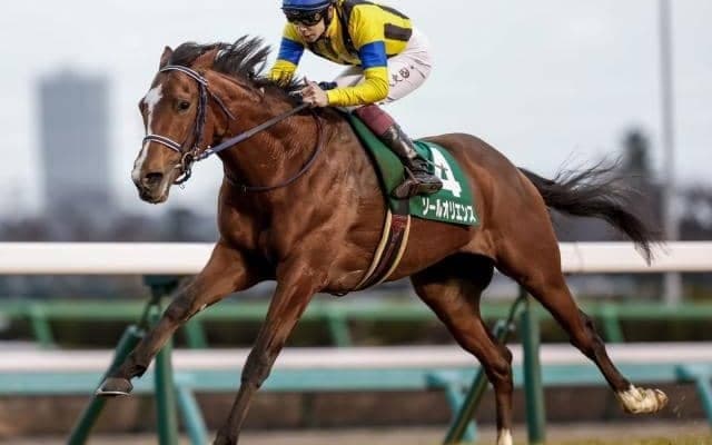 混戦模様の皐月賞 障害GIの中山グランドジャンプなど/今週の競馬界の見どころ