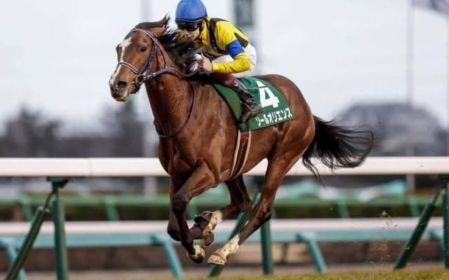【皐月賞見どころ】大混戦の牡馬クラシック初戦、ソールオリエンスが無敗制覇を狙う