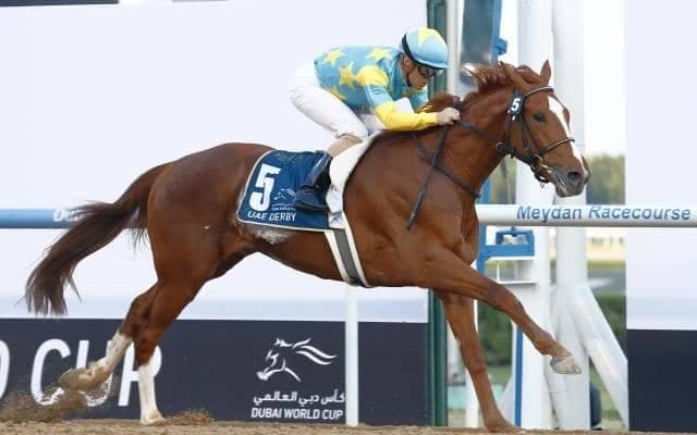 【海外競馬】KYダービー出走のデルマソトガケとコンティノアールが現地到着