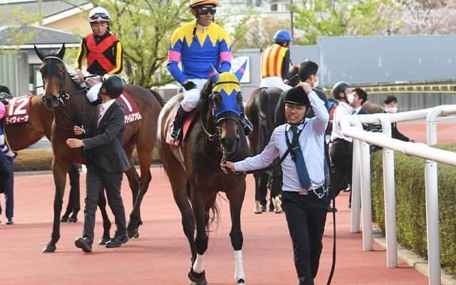 【阪神牝馬S】売上は33億9494万6900円で昨年より約13億円増加