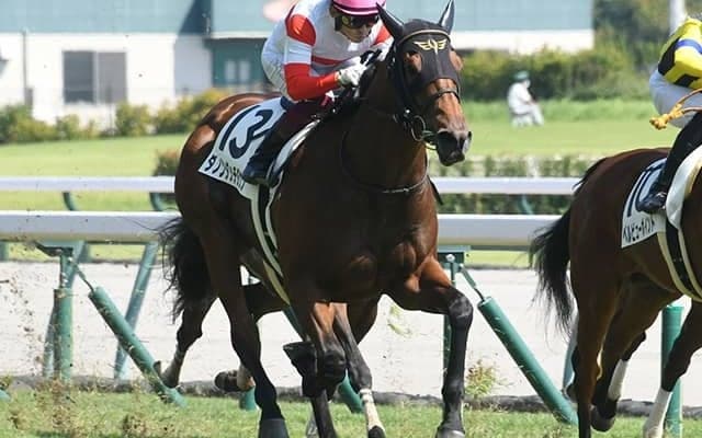 【AI予想・皐月賞】1勝馬が「◎」候補!? 素質の高さが叶えうる豪快な差し切りに期待