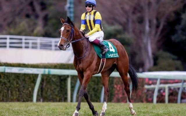 【皐月賞想定騎手】ソールオリエンスは横山武史騎手、ファントムシーフはC.ルメール騎手