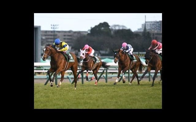 アンカツが選び抜いた「３歳牡馬番付」大混戦の皐月賞＆ダービーで勝ち負けを演じるのはどの馬だ？