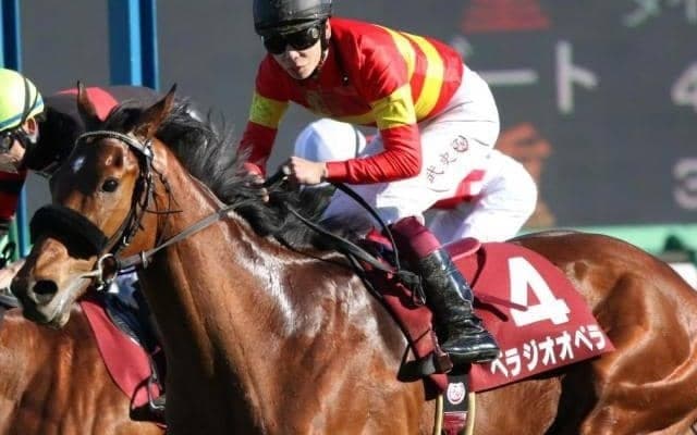 スプリングS組10年ぶりVへ 無敗馬が皐月賞で連勝伸ばすか