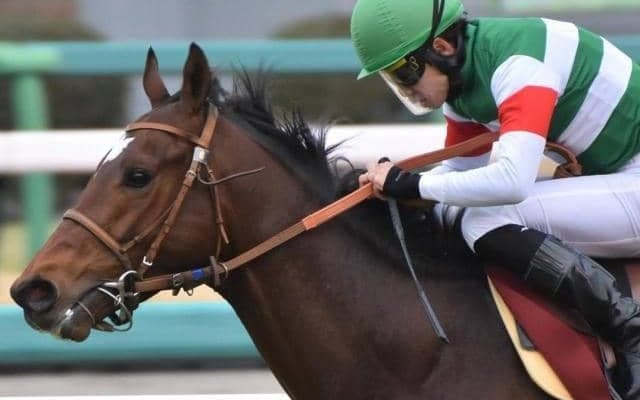 弥生賞覇者が勝てば13年ぶり サトノクラウン産駒の出世頭が皐月賞に挑む