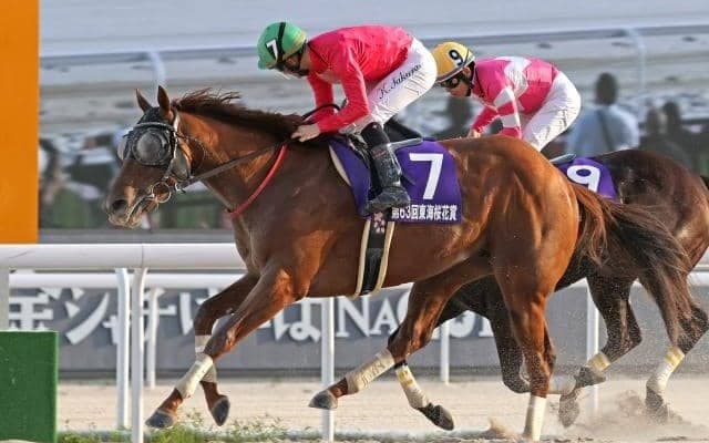 【名古屋・東海桜花賞結果】川崎のルーチェドーロがゴール前で抜け出す