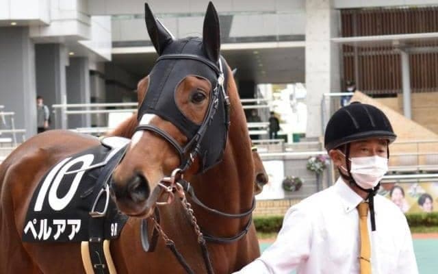 【マリーンC注目馬】船橋競馬の春飾る名物重賞 上がり馬が3連勝で重賞初制覇狙う