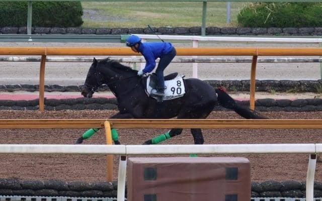 ジャスティンパレス、天皇賞(春)2週前追い切り速報/栗東トレセンニュース