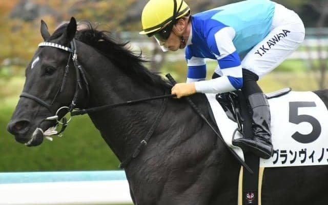 GI馬3頭をきょうだいに持つ良血 青葉賞でダービーの権利取り