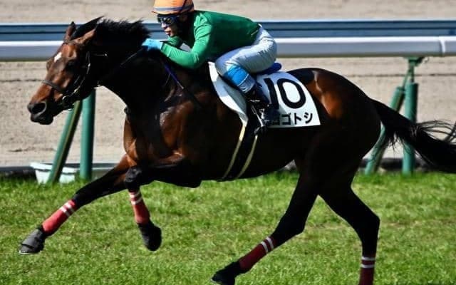 ヨカヨカと同じ熊本産馬が偉業に挑戦 中山GJで故郷へ初のGIタイトルを届ける