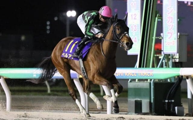 【マリーンC】ペルアアが断然の人気に応えて重賞初制覇