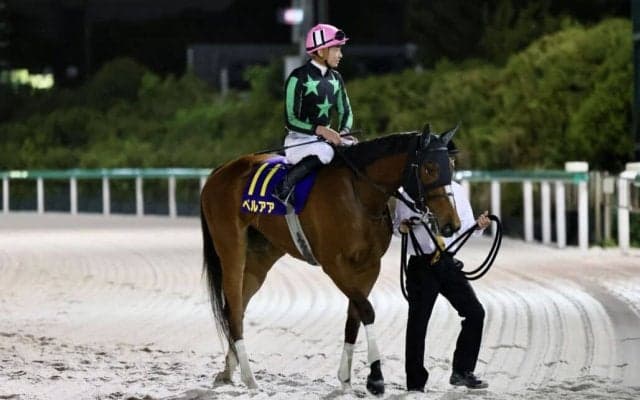 【マリーンC】岩田望「雰囲気良く直線を迎えられた」ペルアアが重賞初制覇