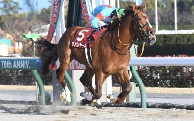 【アンタレスS展望】スタミナが問われるレースで距離延長ローテは苦戦傾向