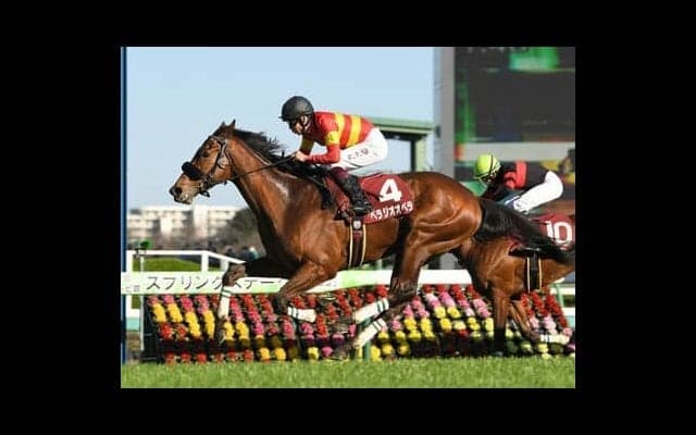 本命不在の皐月賞で狙ってみたい２頭は？ 母系が優秀なロードカナロア産駒と、ラブリーデイ産駒で唯一の重賞勝ち馬