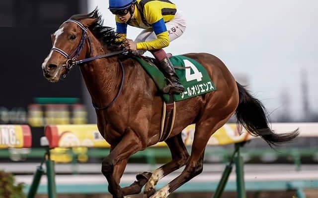 【皐月賞・調教後馬体重】ファントムシーフは500kg、ソールオリエンスは470kg