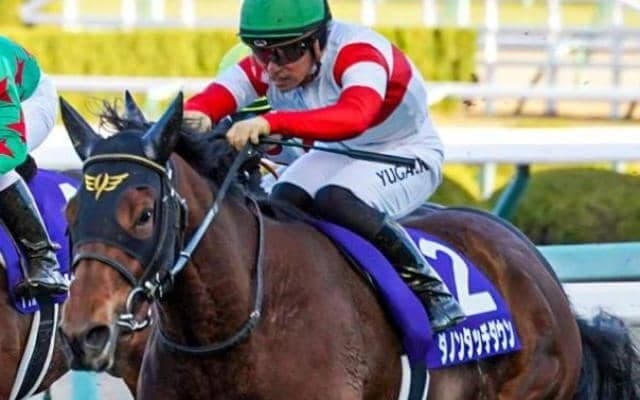 “キタサンブラック超え”なるか クラシック最高馬体重Vへ皐月賞に大型馬2頭参戦