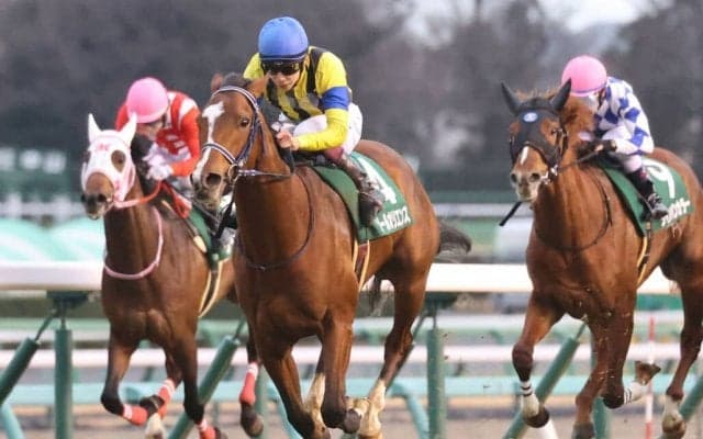 【皐月賞】出走馬の調教後の馬体重