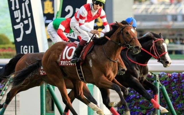 武豊騎手が12年ぶり7勝目狙う アーリントンCに唯一の重賞ウイナーと参戦