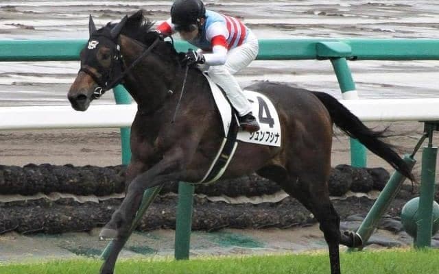 山藤賞は道悪巧者の再現期待 距離延長も不安なし！