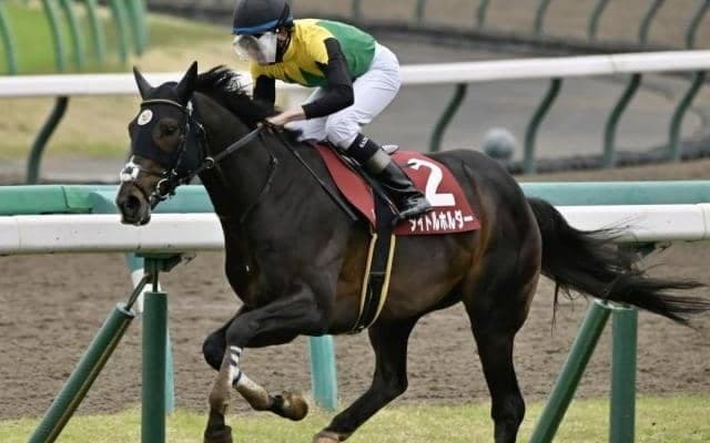 史上6頭目の連覇狙うタイトルホルダーなど 天皇賞(春)出走想定馬18頭