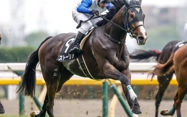 前走重賞で2着のストーリアなど 福島牝馬S出走想定馬16頭