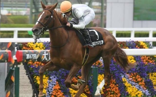 チャレンジC連覇を果たしたソーヴァリアントの半妹など フローラS出走想定馬15頭