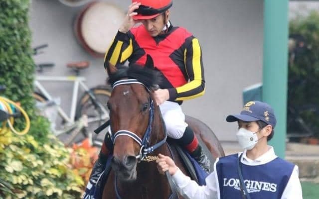 4連勝での重賞初Vを狙うジャスティンスカイなど マイラーズC出走想定馬16頭