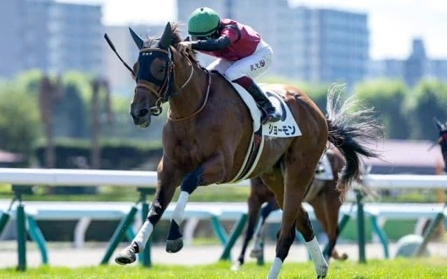 【アーリントンC予想】将来性よりも完成度が問われるレース