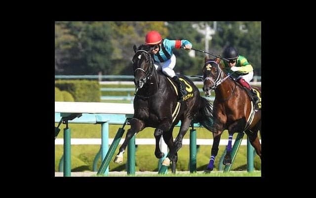 激戦の皐月賞で求められるのは精神的なタフさ 本番への「試走」もこなした経験豊富な馬に一発の期待