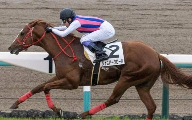 【土曜中山8R予想】叩き2戦目で快速馬が巻き返す
