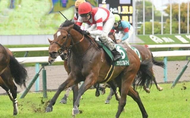 【アーリントンC結果】オオバンブルマイが差し切って重賞2勝目