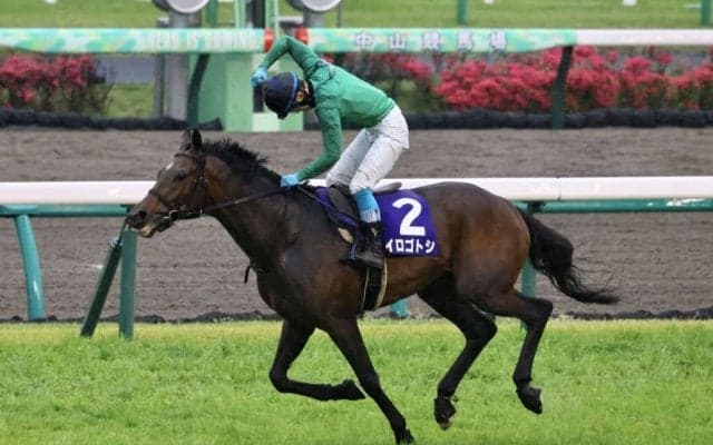 【中山GJ】イロゴトシが大差圧勝！障害G1初制覇…ニシノデイジーは痛恨の出遅れ