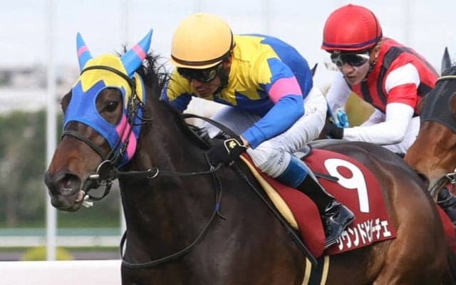 【阪神牝馬S】浜中「予想通りの展開」サウンドビバーチェが重賞初制覇