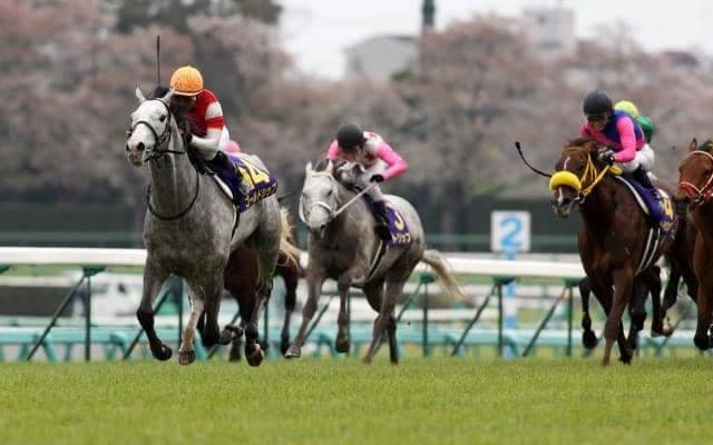 名手の好判断とパワフルな走りから生まれた“ゴルシワープ”  12年の皐月賞プレイバック