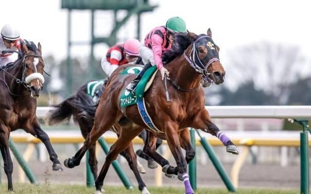 【皐月賞前日オッズ】ファントムシーフが4.5倍で1番人気