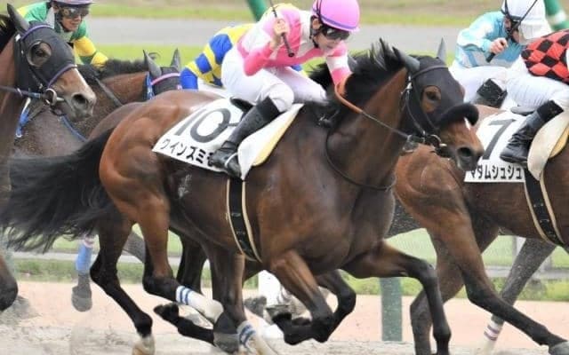 【利根川特別】末脚の破壊力抜群 クインズミモザの差し切りだ