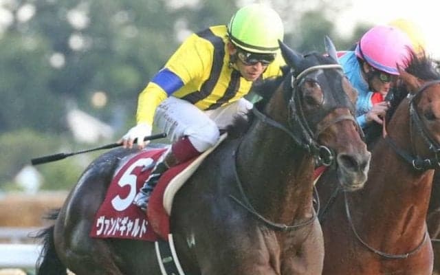 ヴァンドギャルドが競走馬登録抹消