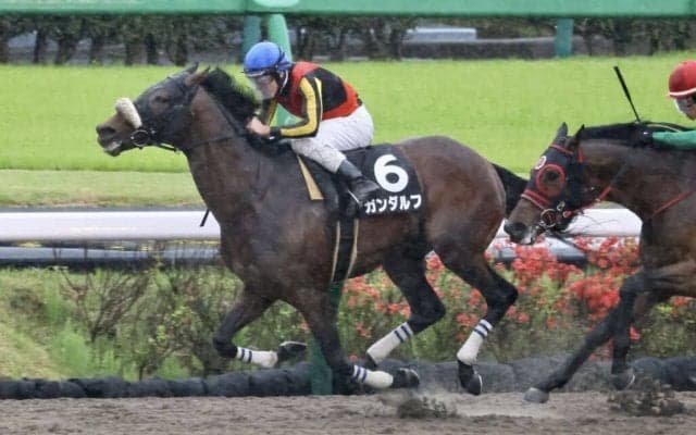 【下総S】レーンが本日3勝目！ガンダルフで内から抜け出し快勝
