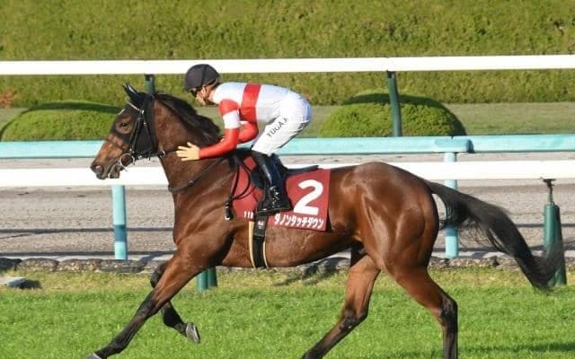 【皐月賞予想】レースセンスとスピードを競う三冠クラシック初戦