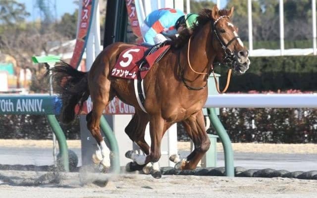 【アンタレスS予想】上半期のダート王者決定戦へ繋がるステップレース