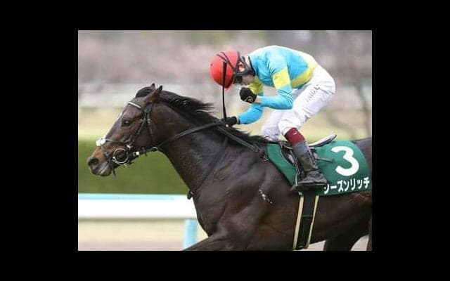 ダービー一本に照準を絞ったシーズンリッチ 同厩の重賞馬にもひけを取らない調教どおりの走りを見せれば一発の可能性も