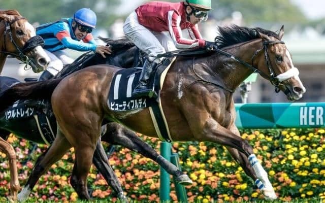 【春雷S予想】1200mで2戦2勝＆距離短縮で3戦3勝 前走11着から巻き返し期待