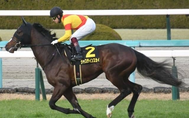 【マイラーズC】ジャスティンスカイ、ソウルラッシュらが登録