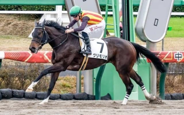 野島崎特別除外のグリモリオは第3頚椎骨折 16日の出来事一覧